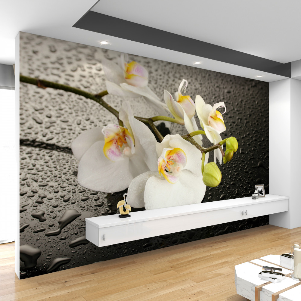 Fototapeta biała orchidea po deszczu