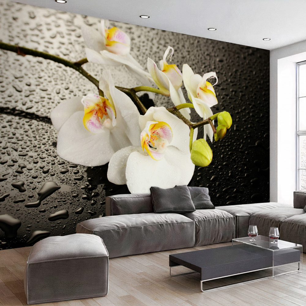 Fototapeta biała orchidea po deszczu