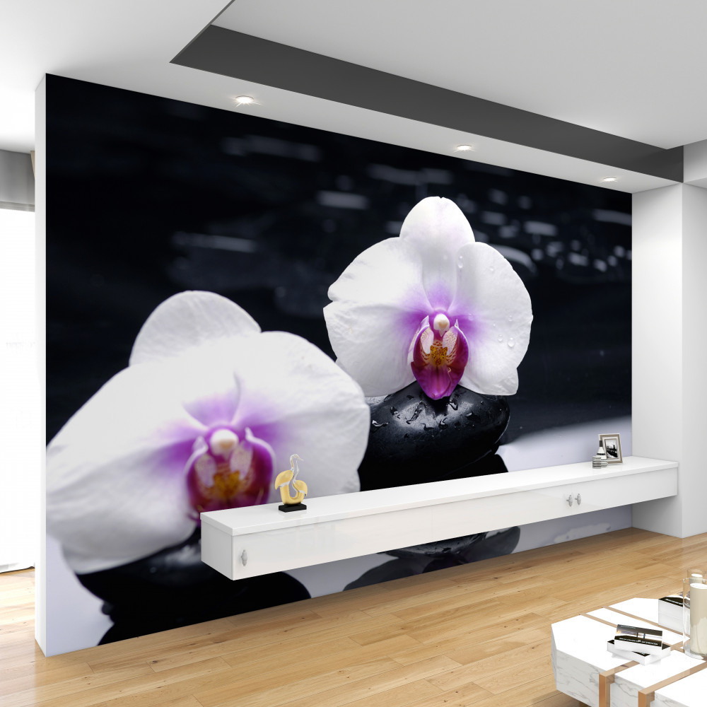 Fototapeta biała orchidea na czarnych kamieniach