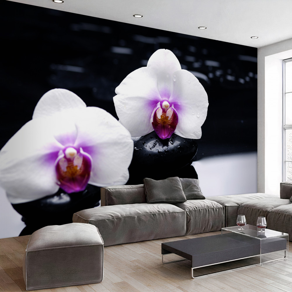 Fototapeta biała orchidea na czarnych kamieniach
