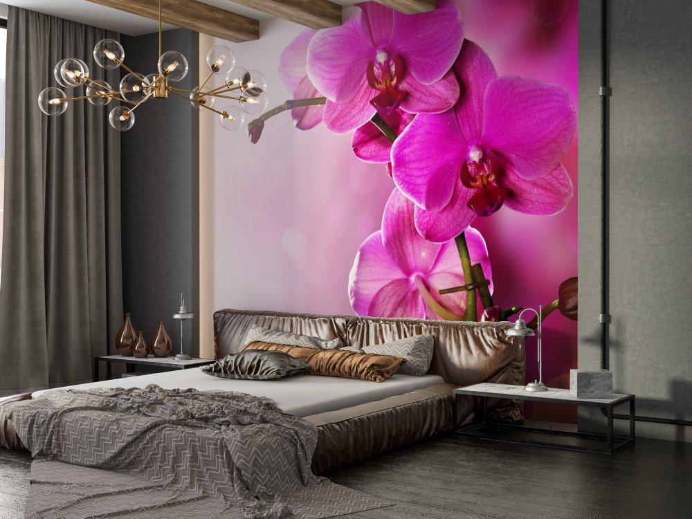 Fototapeta gałąź liliowej orchidei