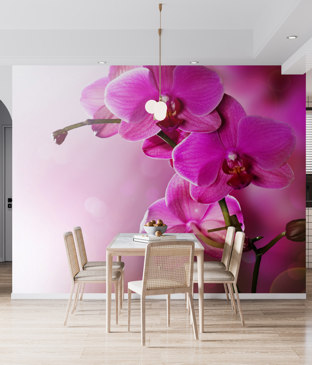 Fototapeta gałąź liliowej orchidei