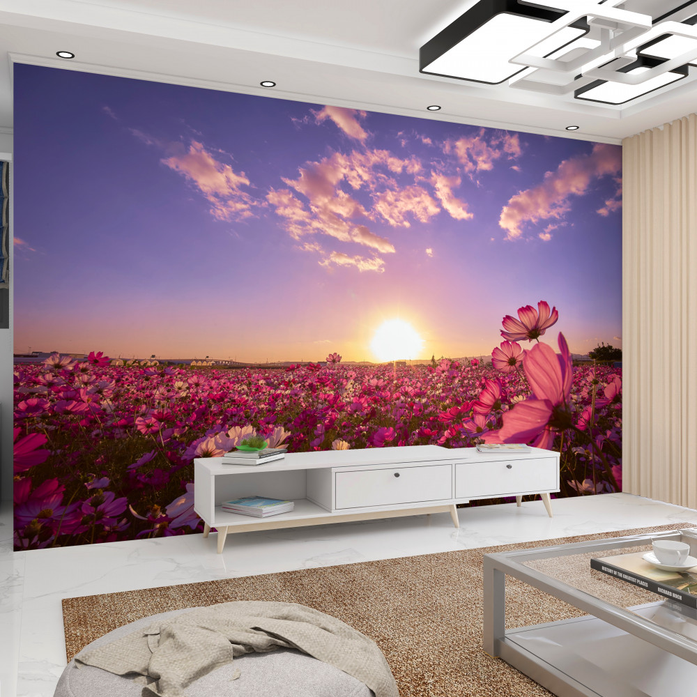 Fototapeta wschód słońca nad polem kwiatów