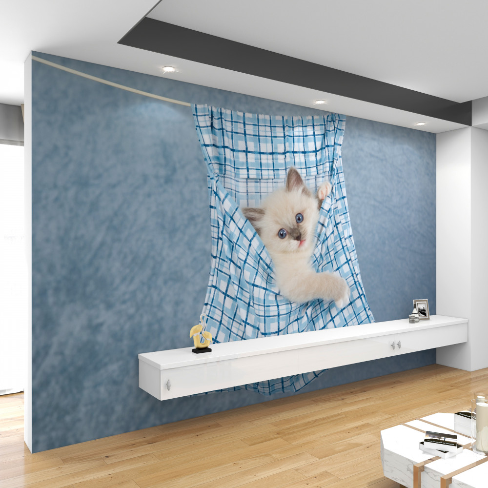 Fototapeta Kot syjamski utknął w torbie