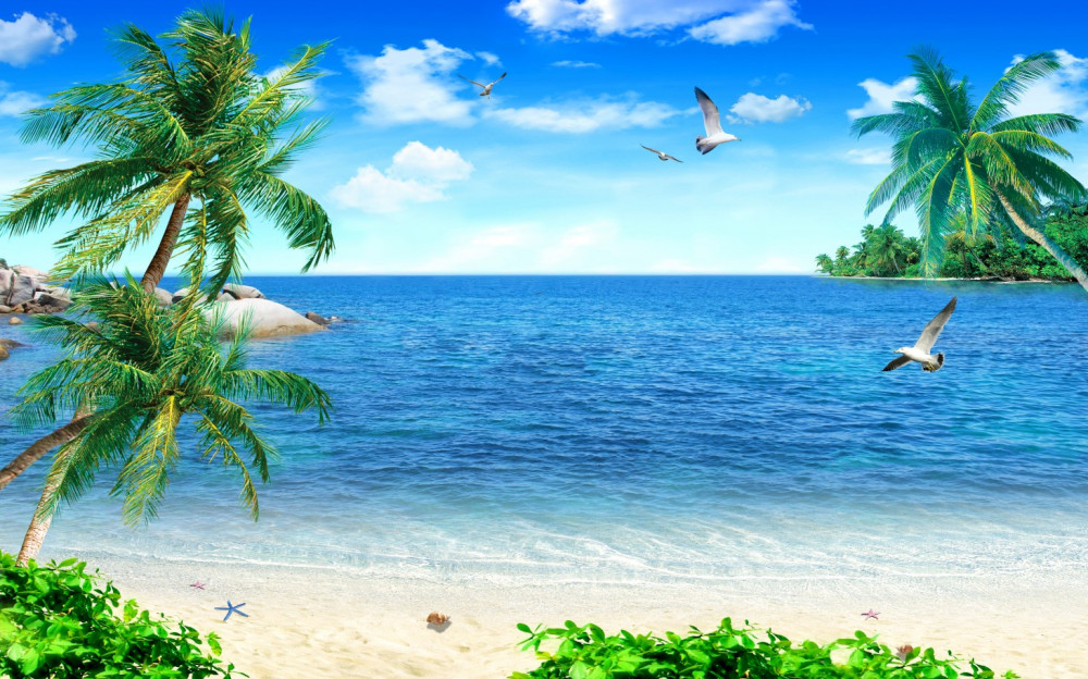 Fototapeta tropikalna plaża z palmami