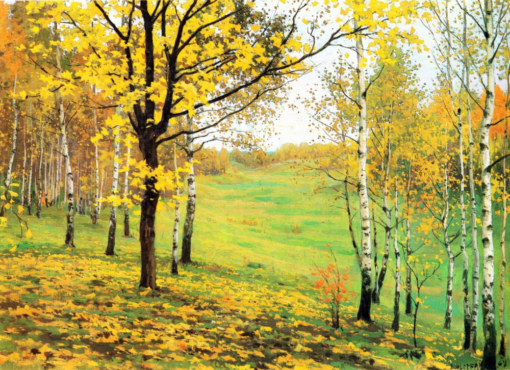 Fototapeta niesamowite kolory jesieni w lesie