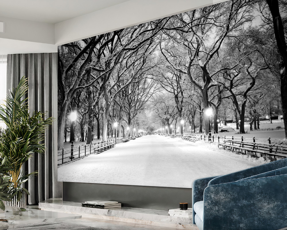 Fototapeta zimowa ścieżka wśród drzew
