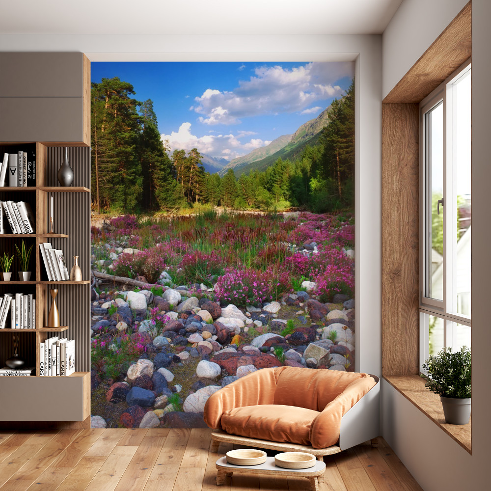 Fototapeta kolorowe kamienie i las zielonych sosen