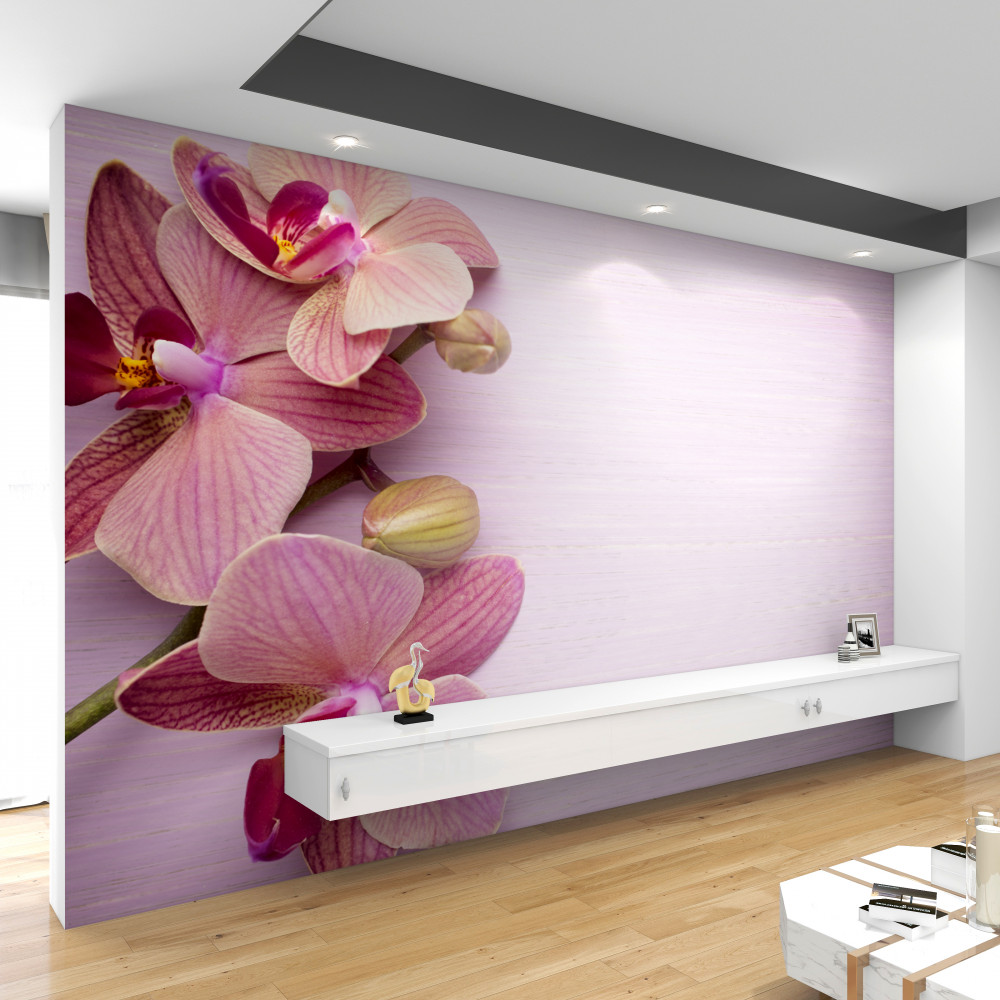 Fototapeta piękne różowe kwiaty orchidei