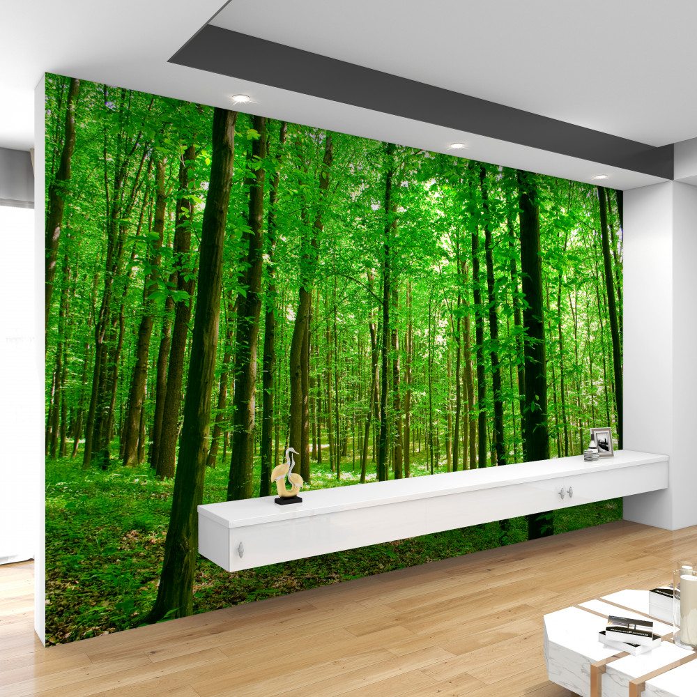 Fototapeta smukły letni las liściasty