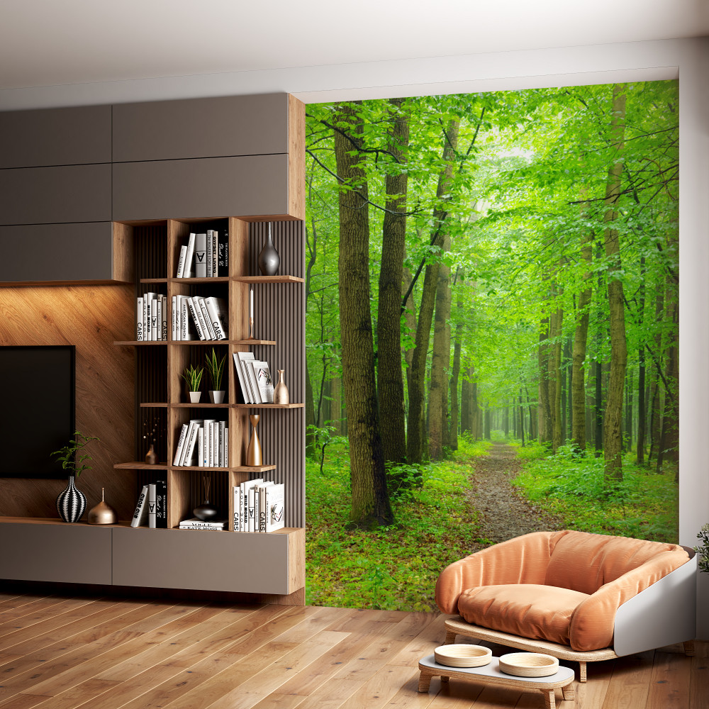 Fototapeta wygodna ścieżka przez smukły las liściasty