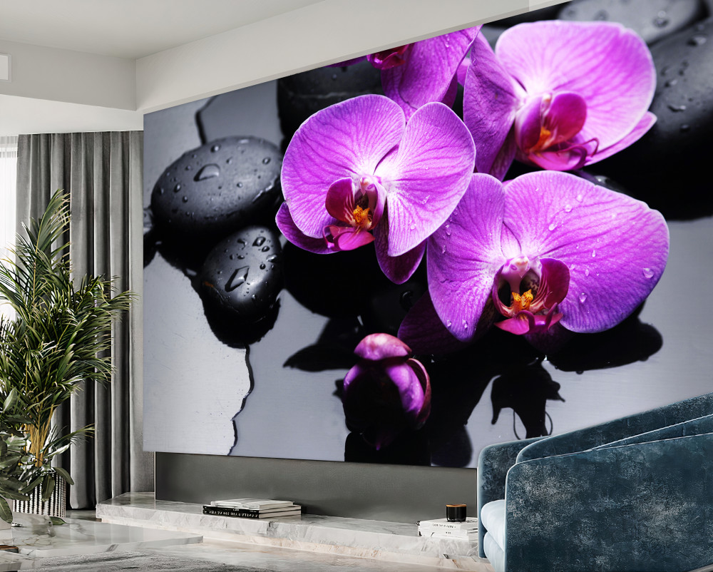 Fototapeta fioletowe orchidee na wodzie w pobliżu kamieni