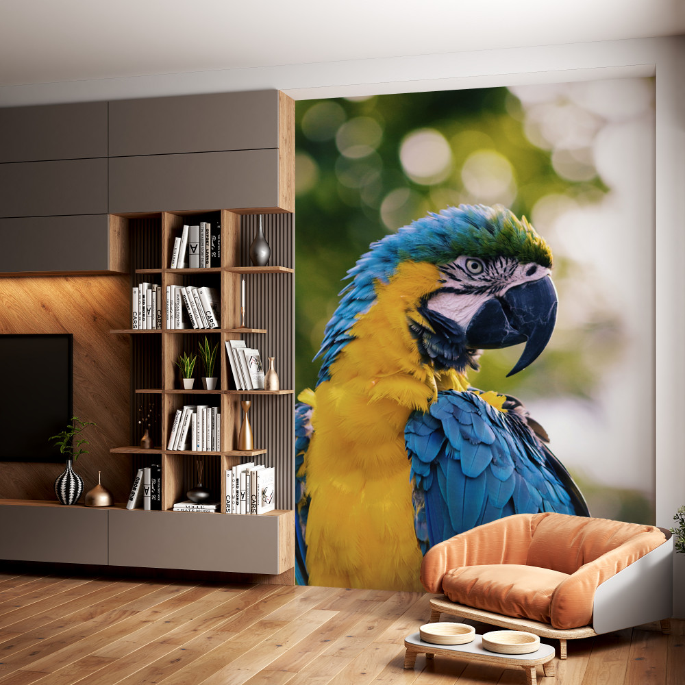 Fototapeta portret pięknej papugi