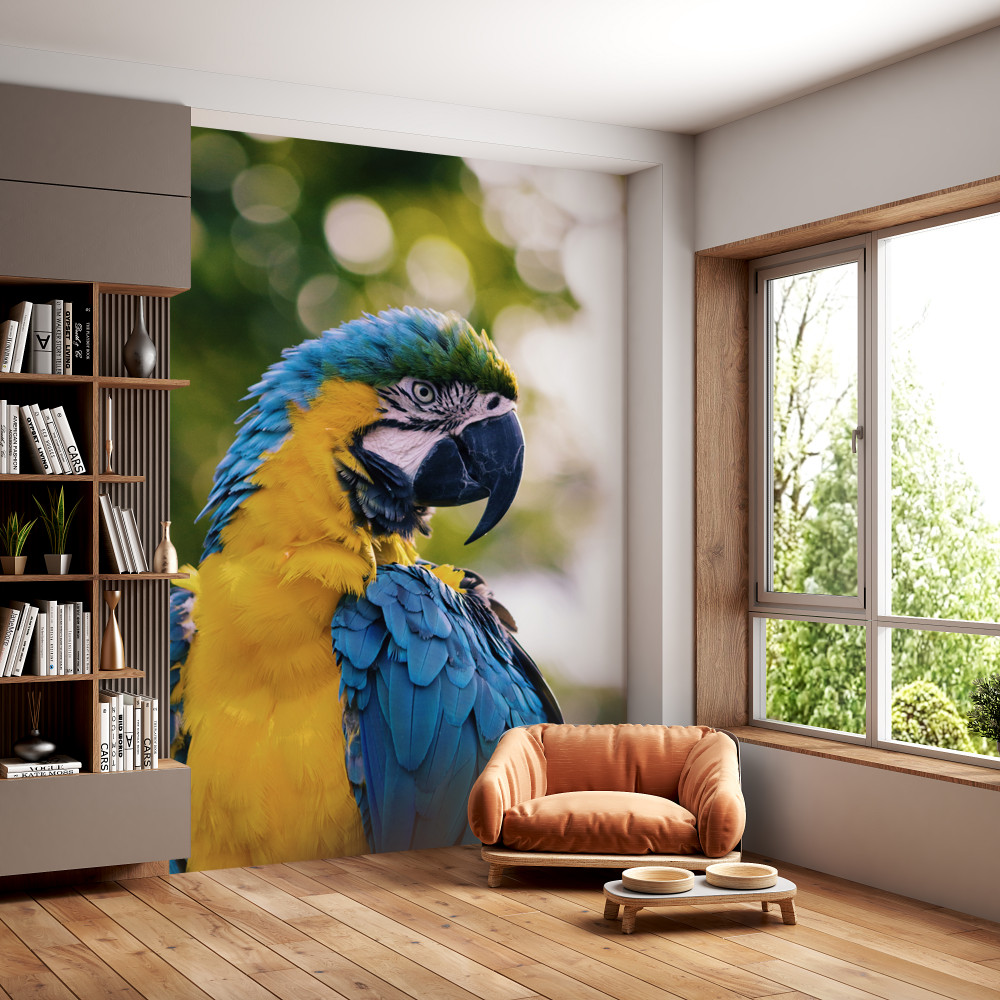 Fototapeta portret pięknej papugi