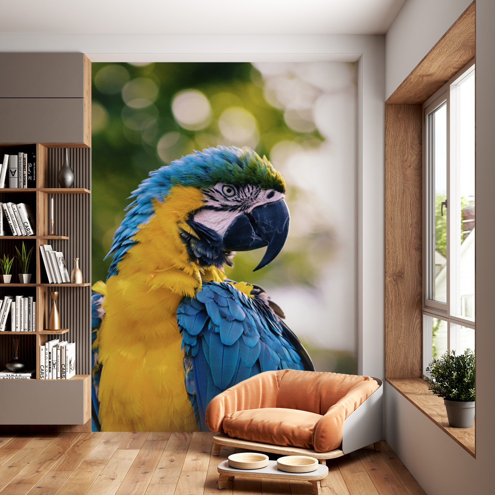 Fototapeta portret pięknej papugi