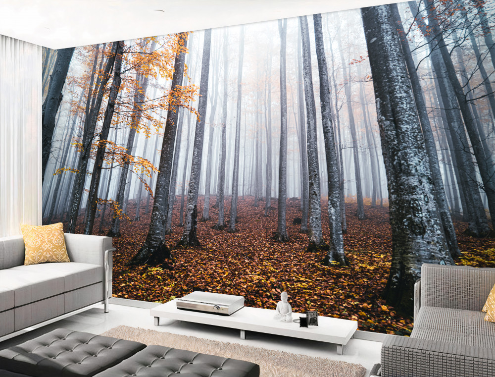 Fototapeta mgła w smukłym jesiennym lesie