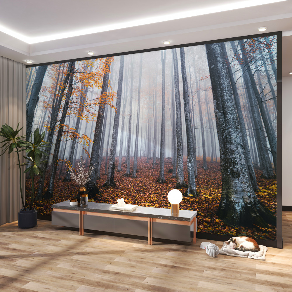 Fototapeta mgła w smukłym jesiennym lesie