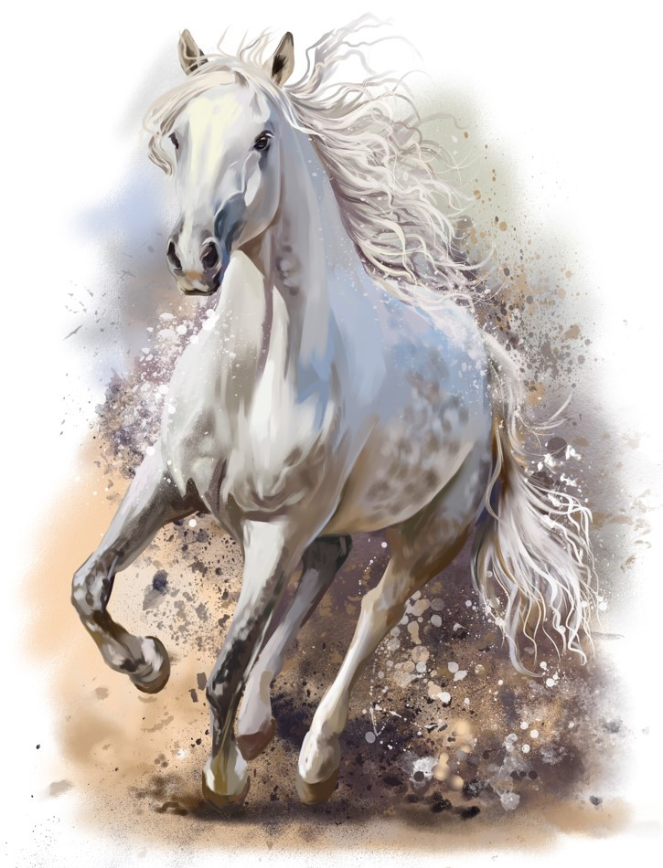 Fototapeta galop silnego białego konia z grzywą
