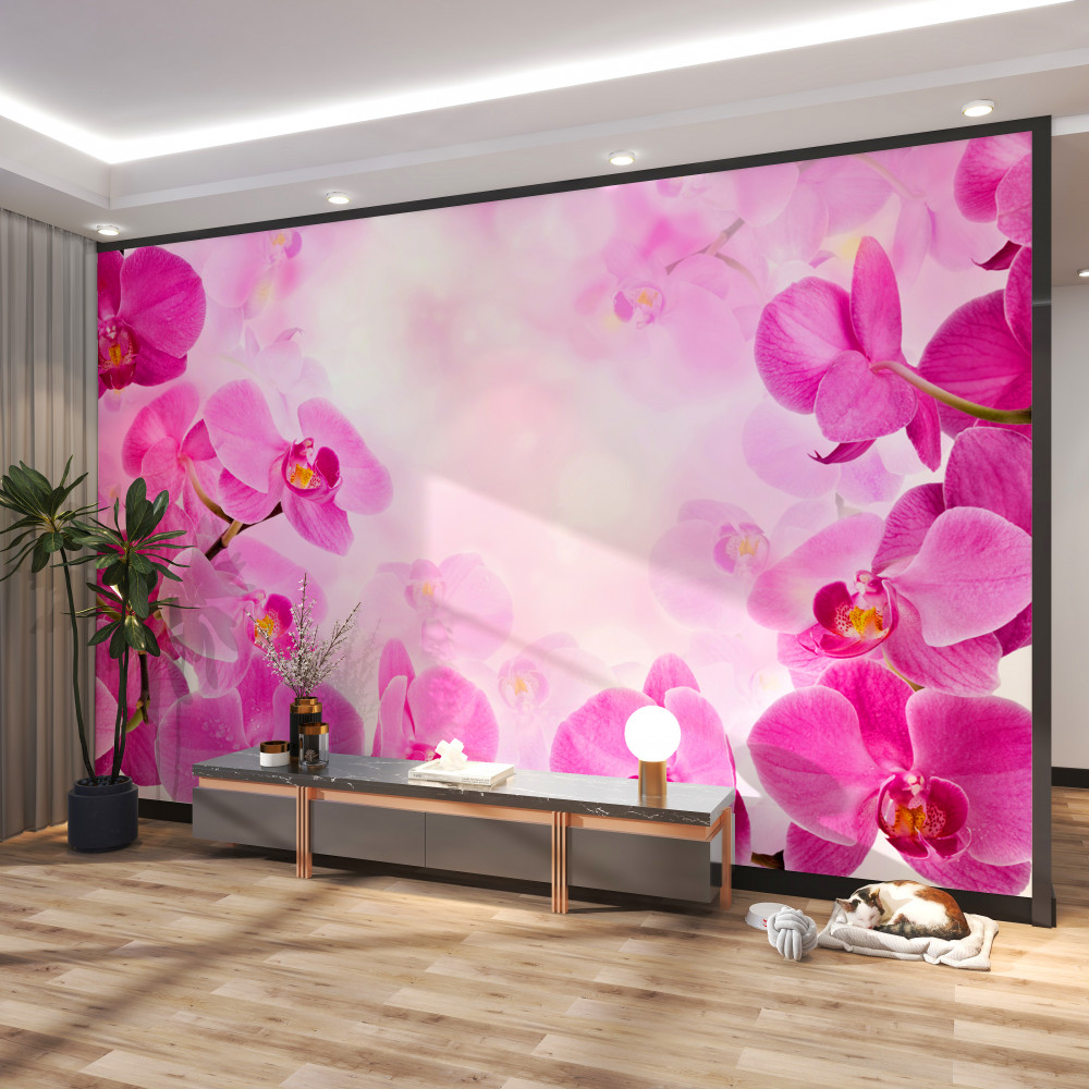 Fototapeta duże fioletowe kwiaty orchidei