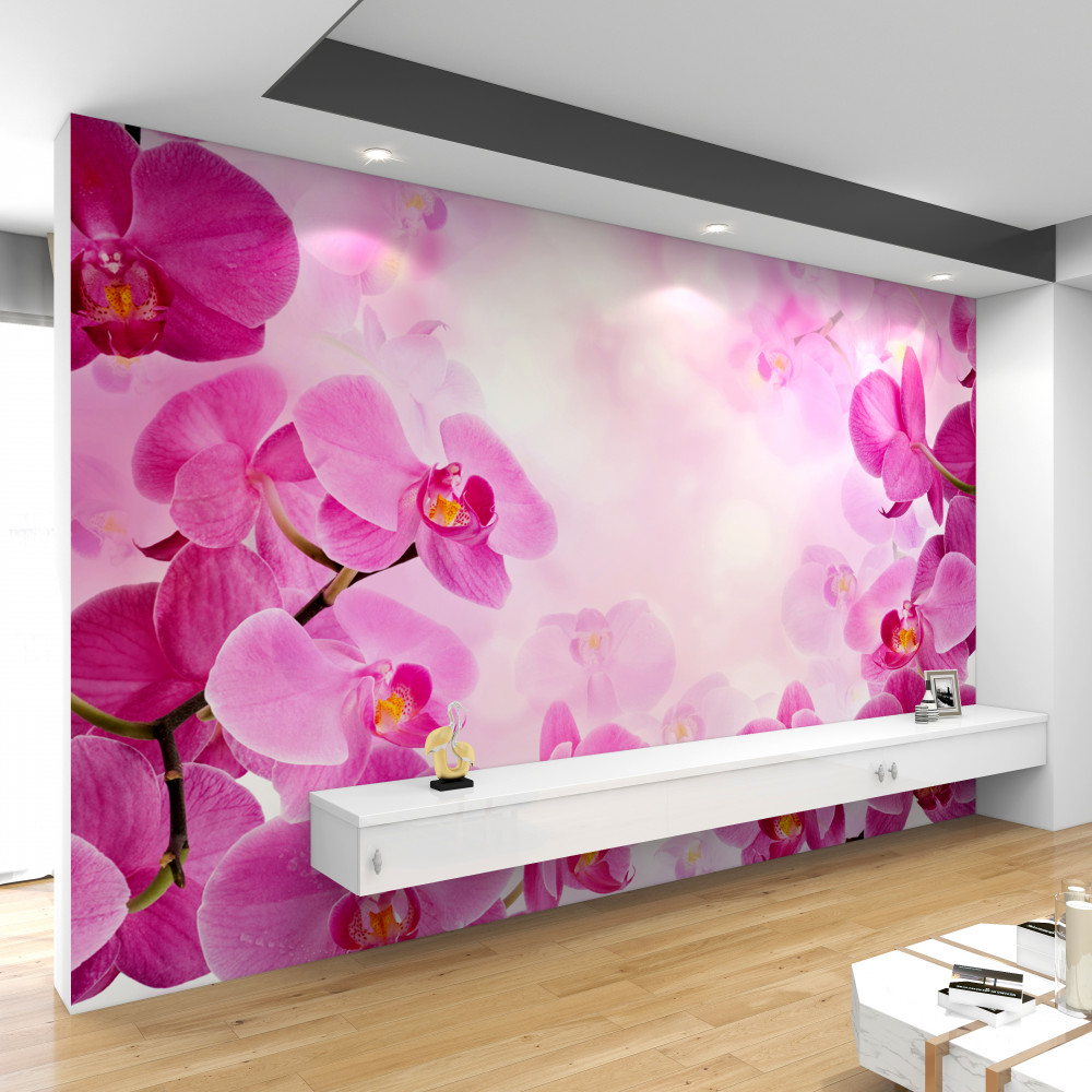 Fototapeta duże fioletowe kwiaty orchidei