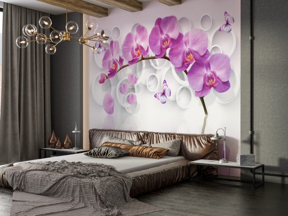 Fototapeta gałąź dużej orchidei z kwiatami