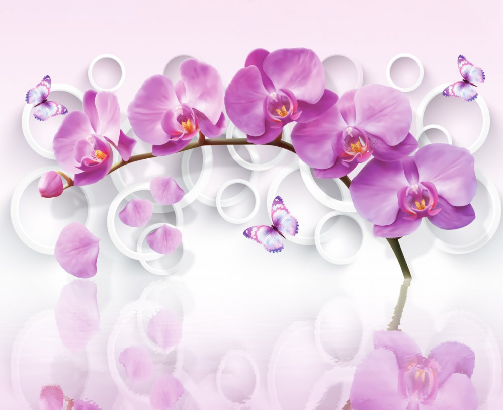 Fototapeta gałąź dużej orchidei z kwiatami
