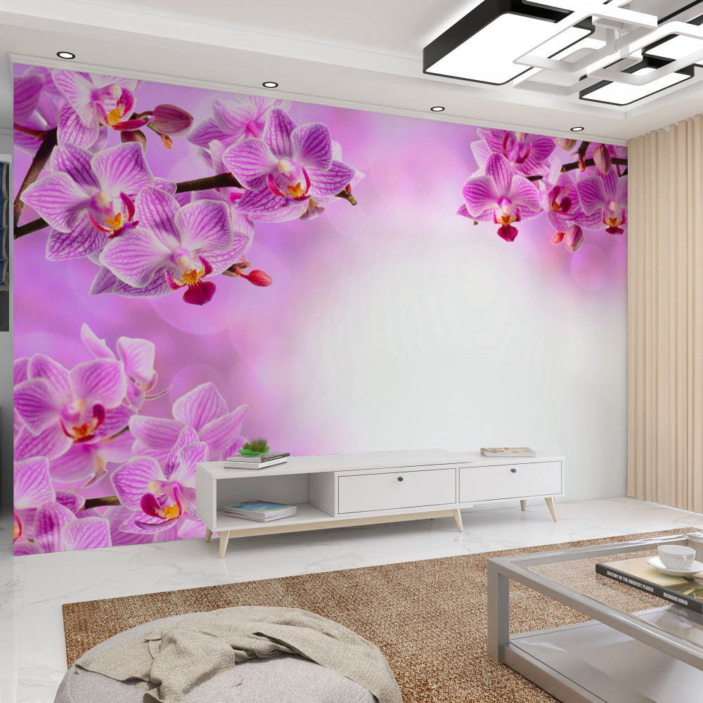Fototapeta gałęzie kwitnącej liliowej orchidei