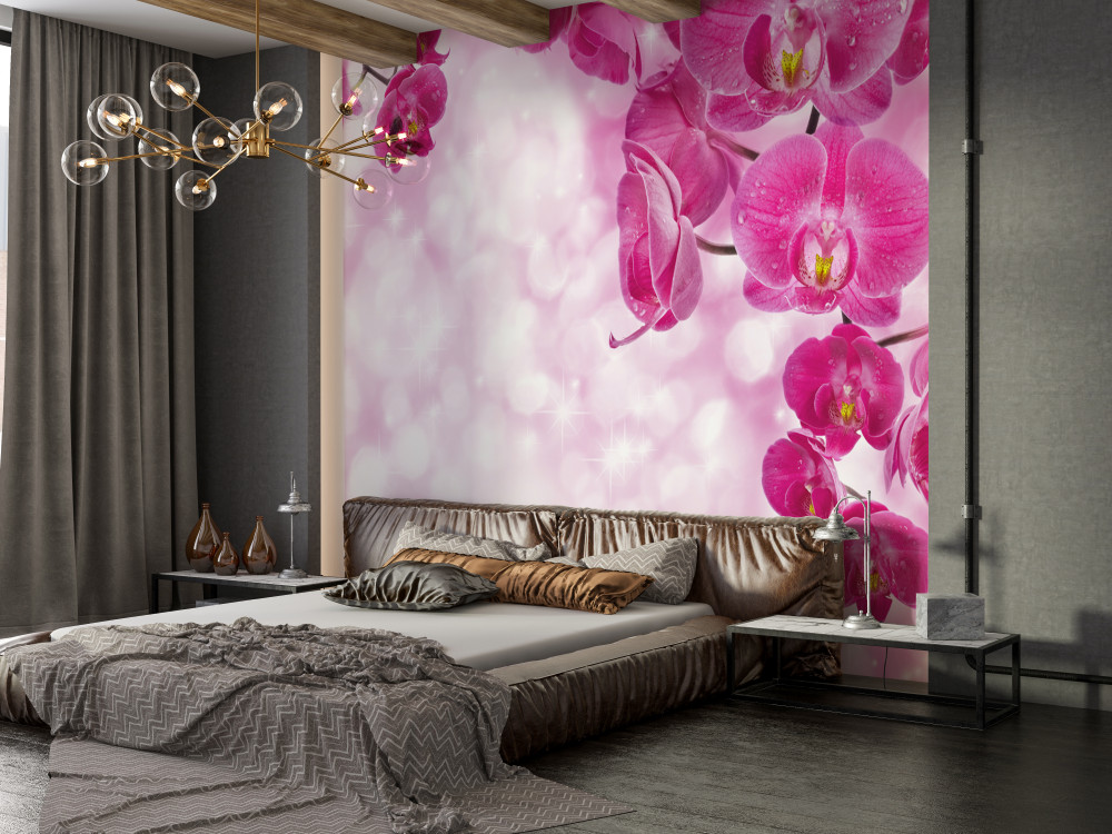 Fototapeta delikatna liliowa orchidea