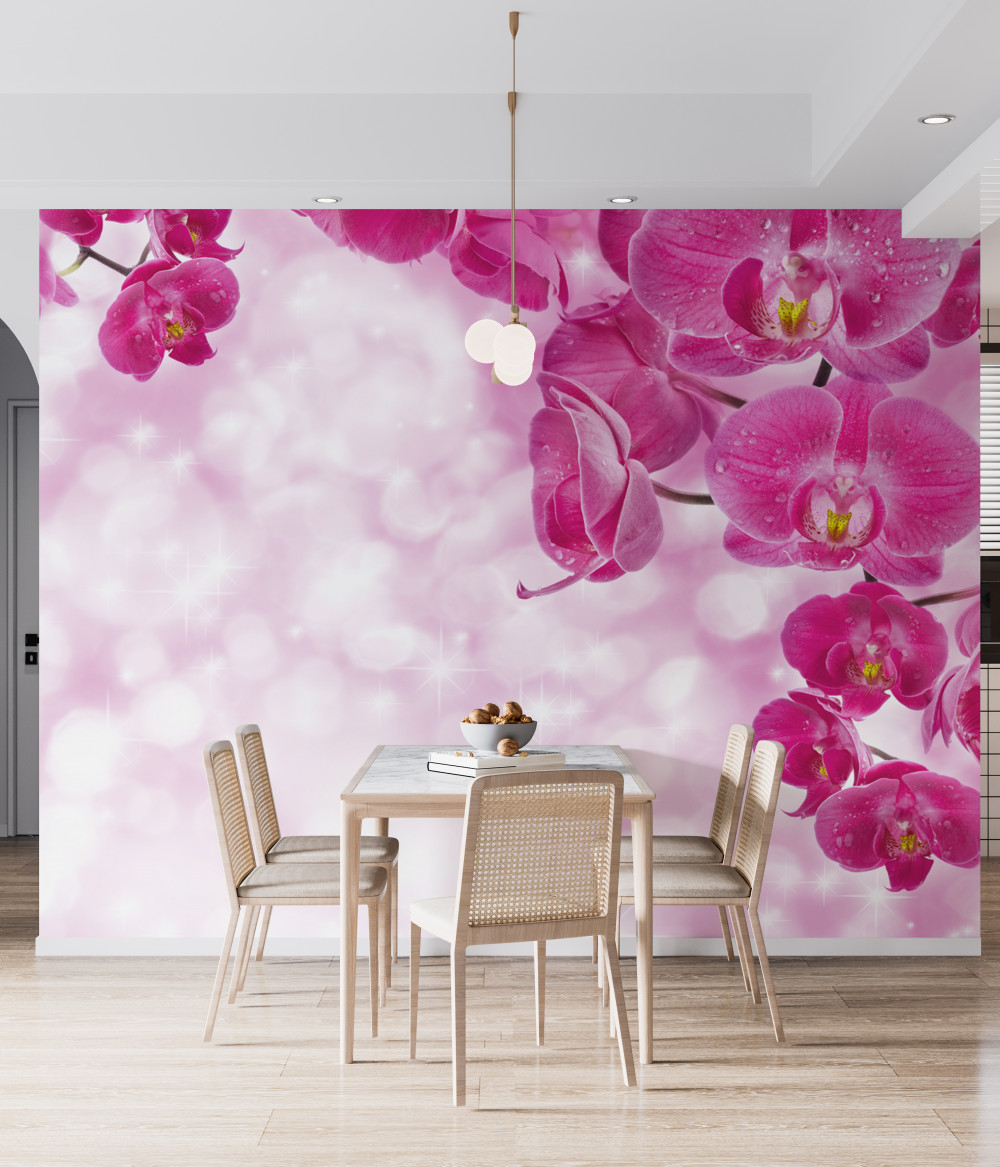 Fototapeta delikatna liliowa orchidea