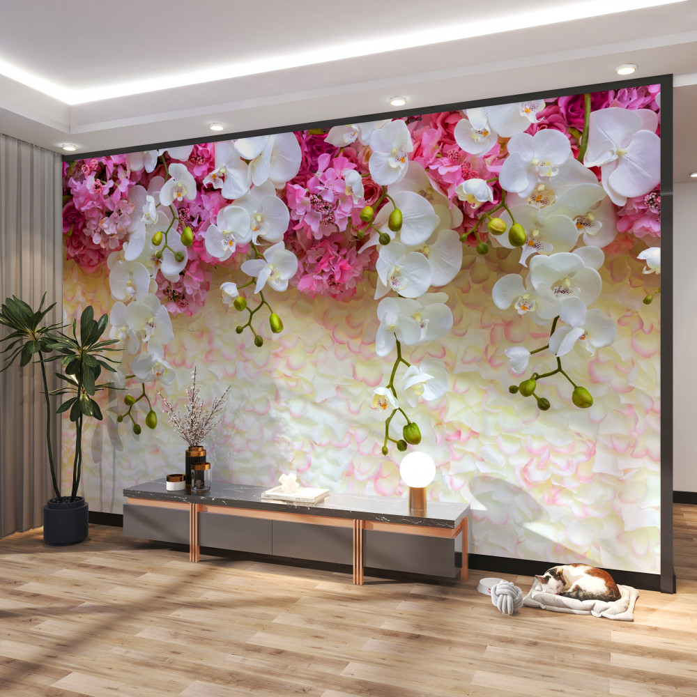 Fototapeta biała orchidea kwitnąca w dół