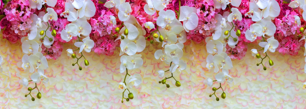 Fototapeta spadające kwiaty orchidei
