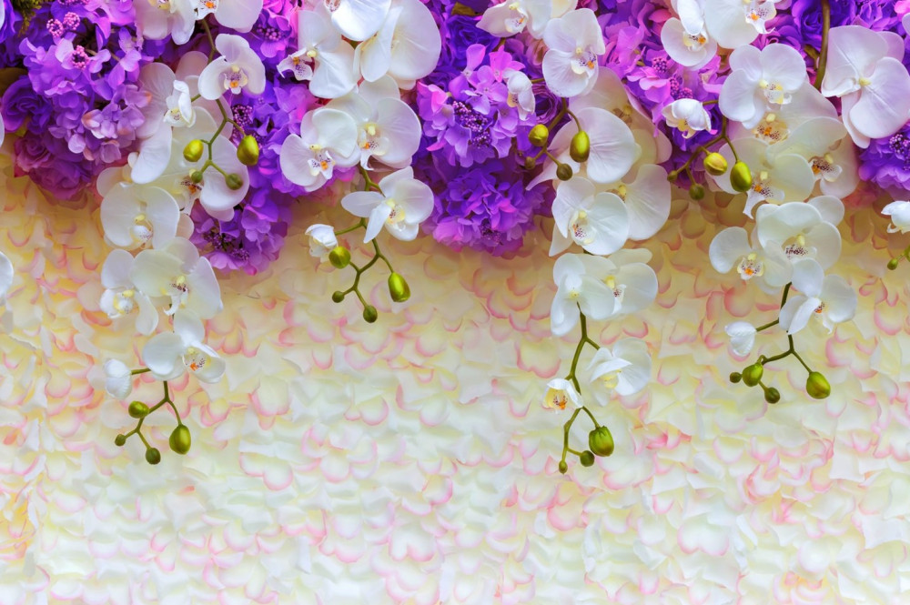 Fototapeta białe kwiaty orchidei i kwiaty bzu