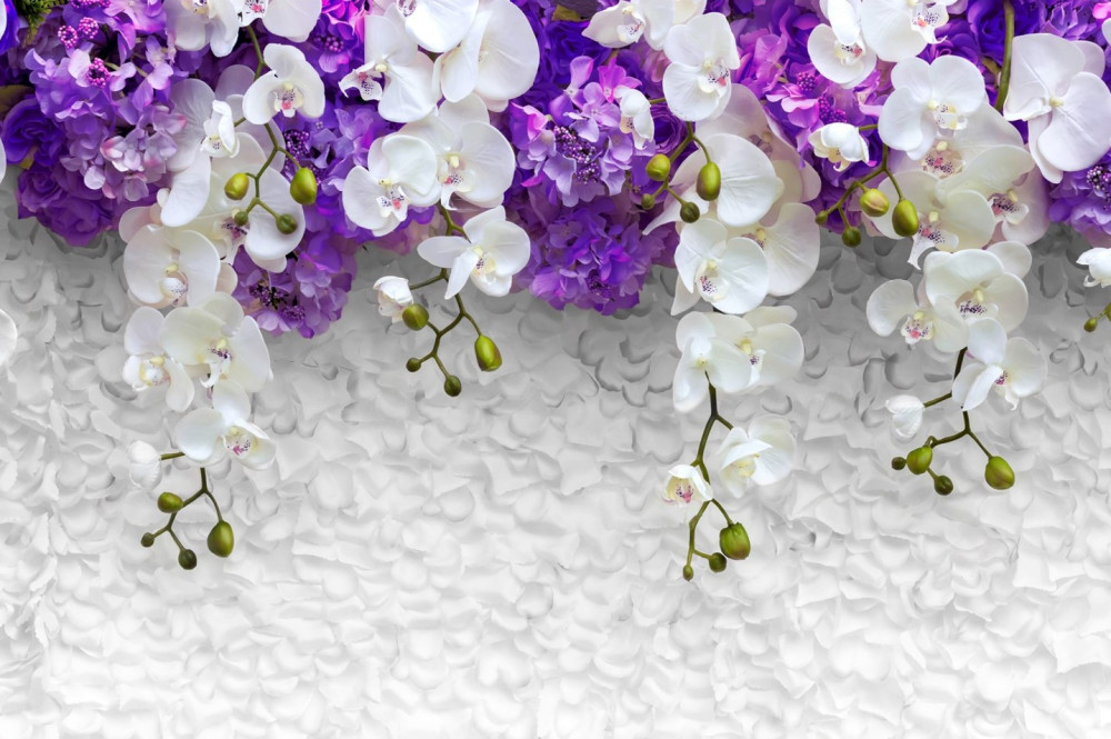 Fototapeta ściana z białych orchidei i fioletowych kwiatów