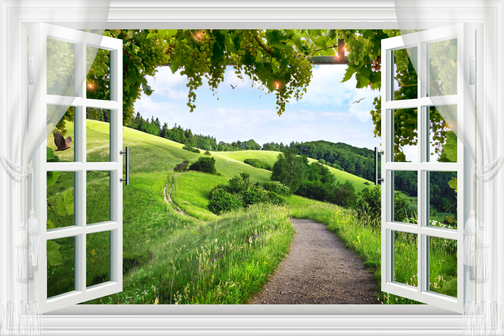 Fototapeta letnia panorama z okna