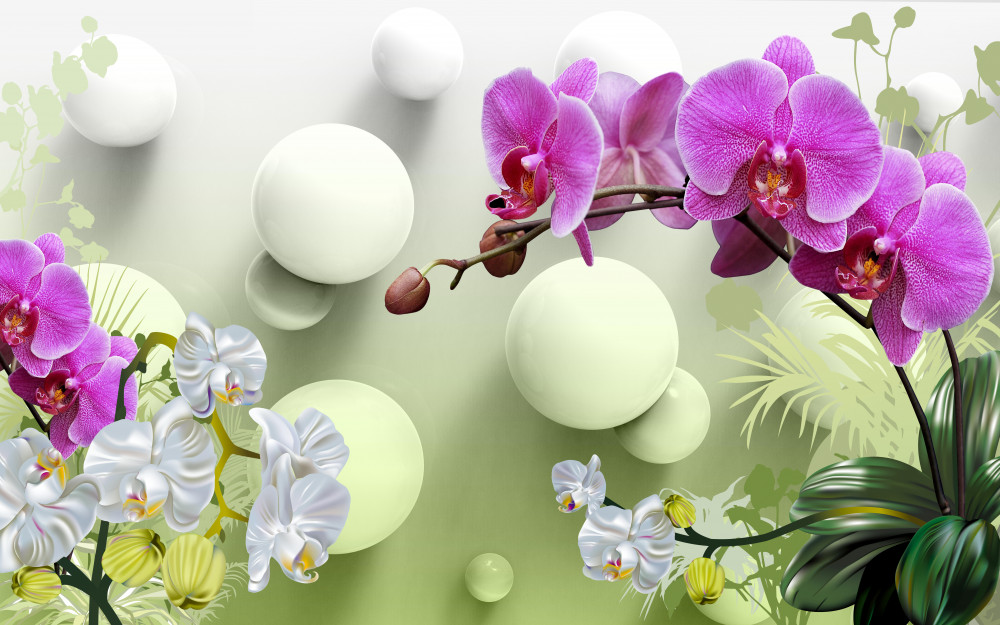 Fototapeta fioletowe i białe orchidee