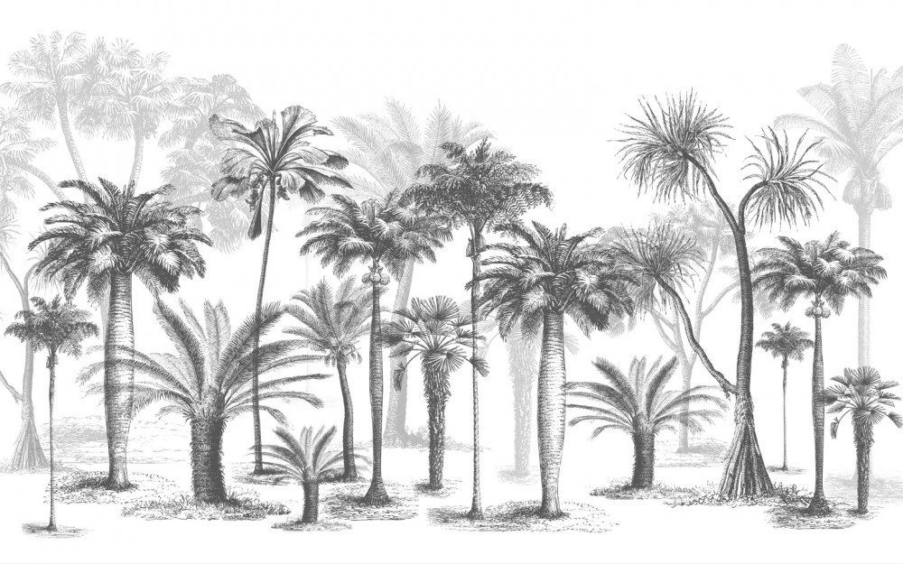 Fototapeta grafika wektorowa palm