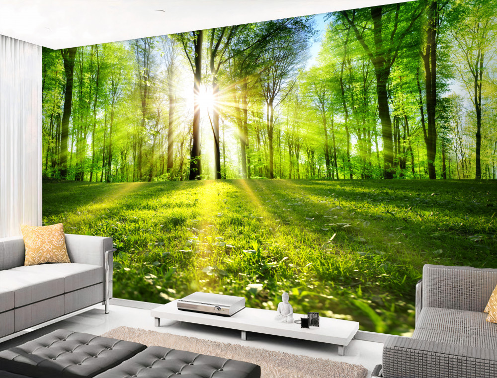 Fototapeta wschód słońca w zielonym lesie