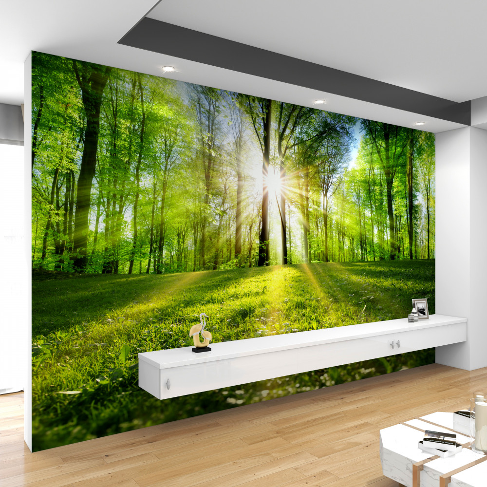 Fototapeta wschód słońca w zielonym lesie