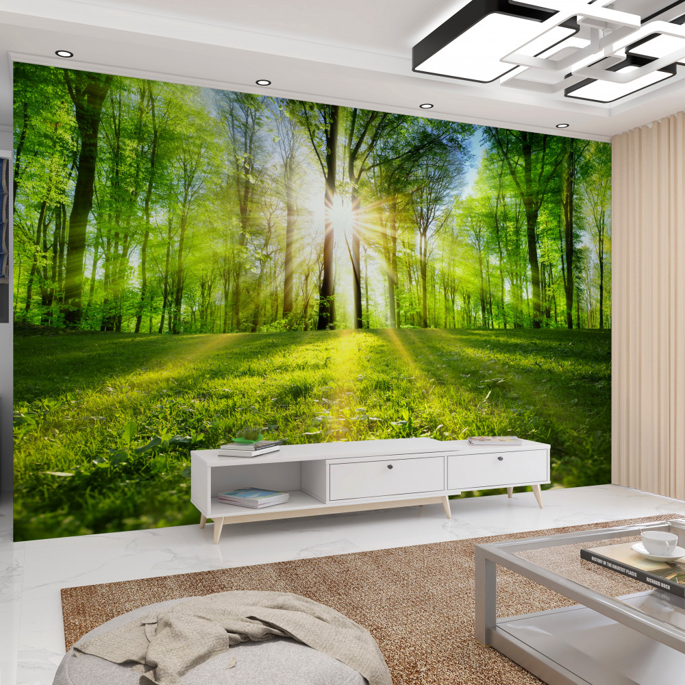 Fototapeta wschód słońca w zielonym lesie
