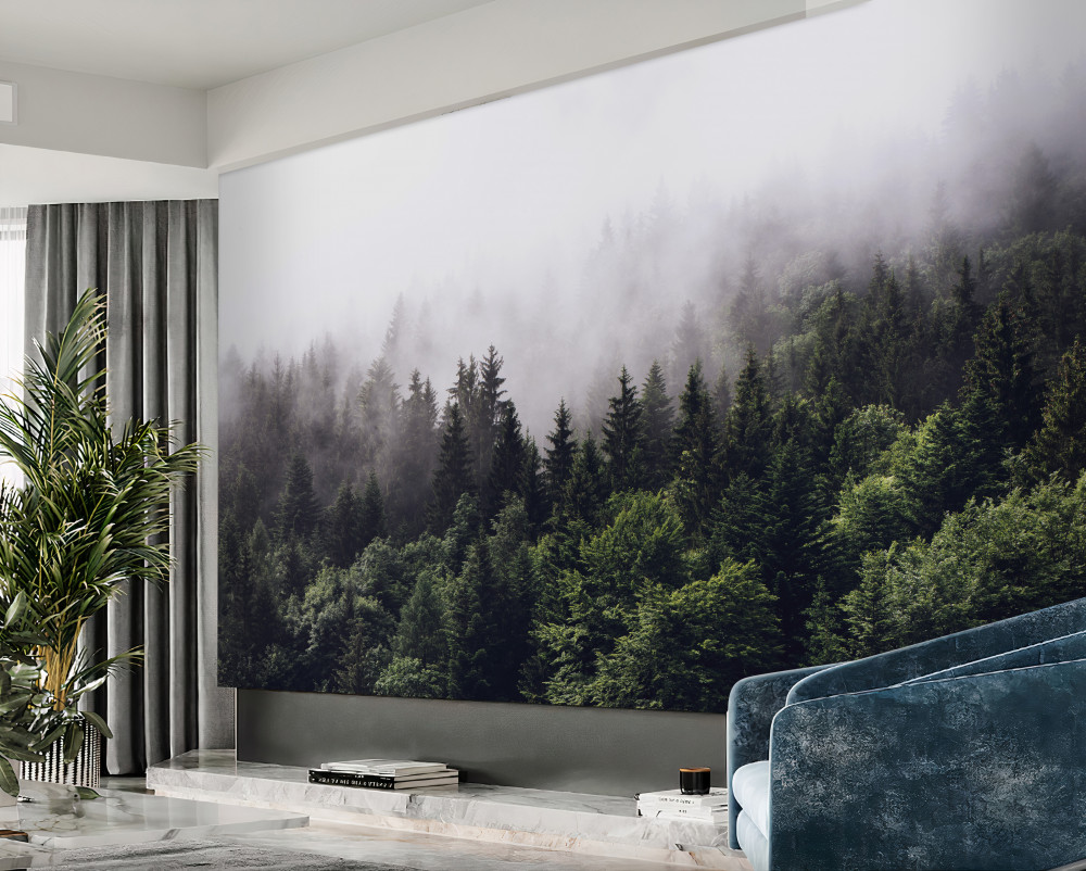 Fototapeta widok z góry na las we mgle