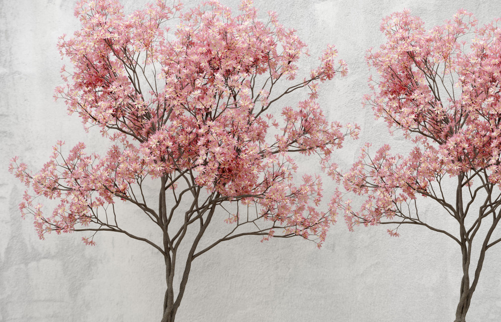Fototapeta różowa sakura w mglisty poranek