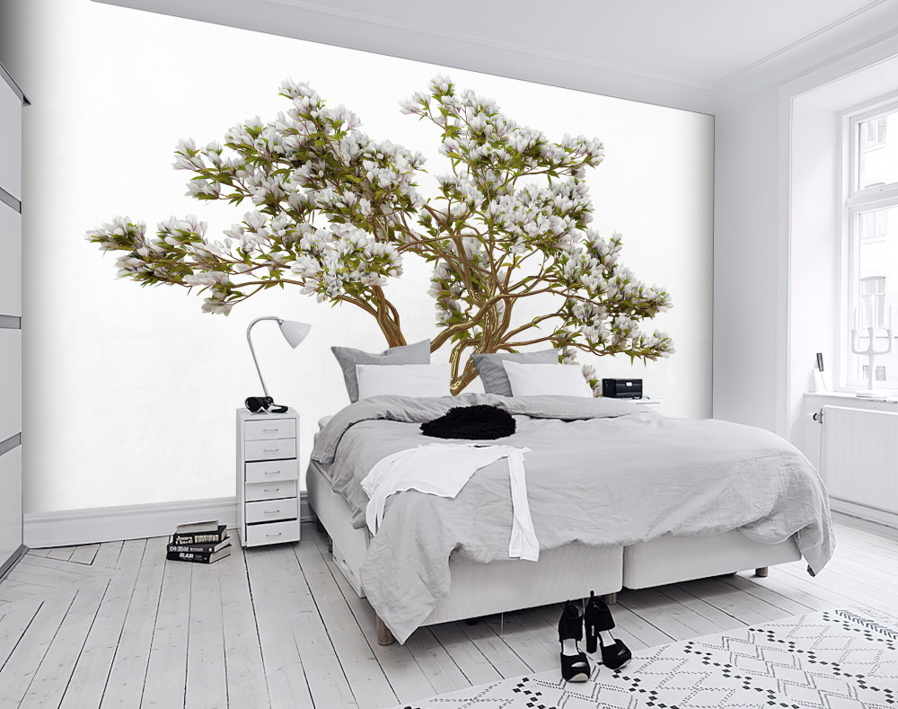 Fototapeta smukłe, piękne samotne bonsai