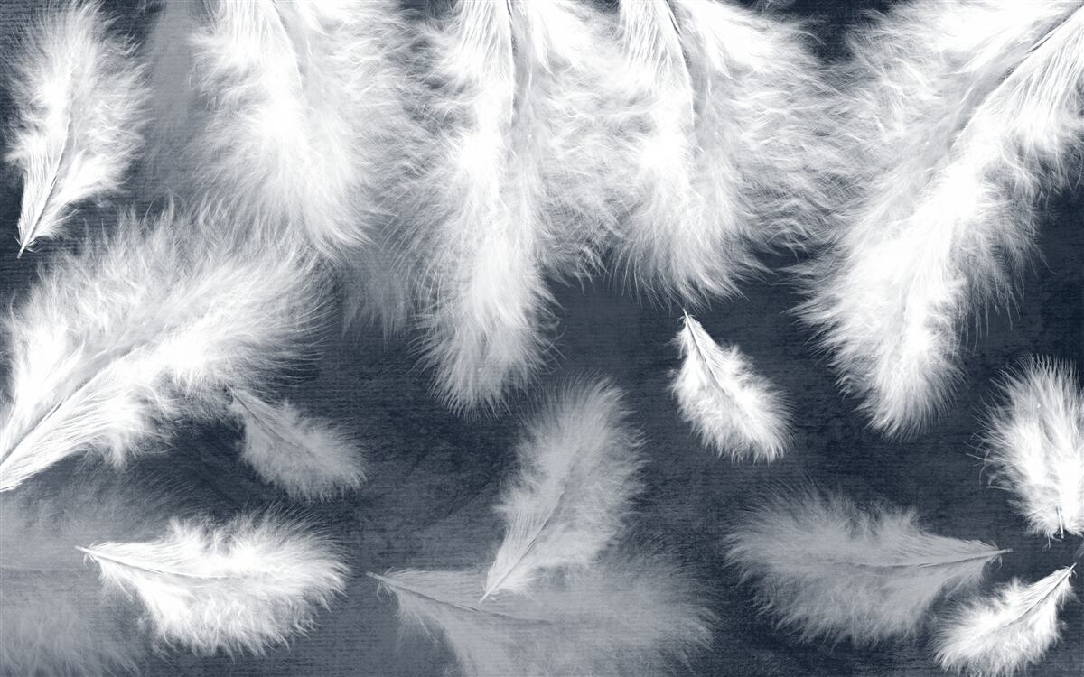 Fototapeta grube pływające pióra