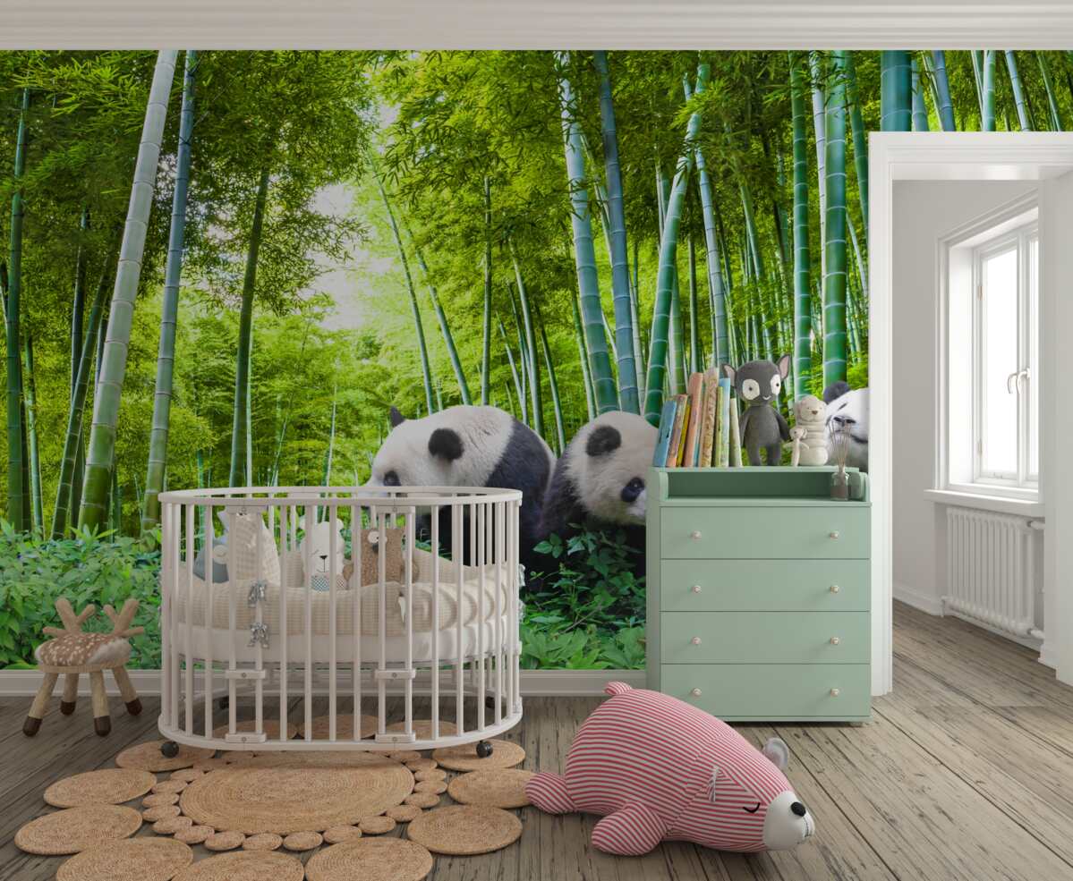 Fototapeta Panda w bambusowym lesie