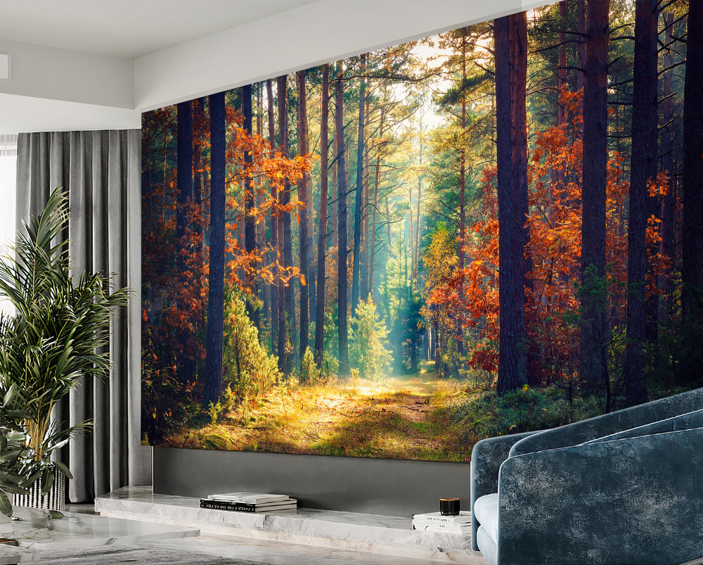 Fototapeta W jesiennym lesie