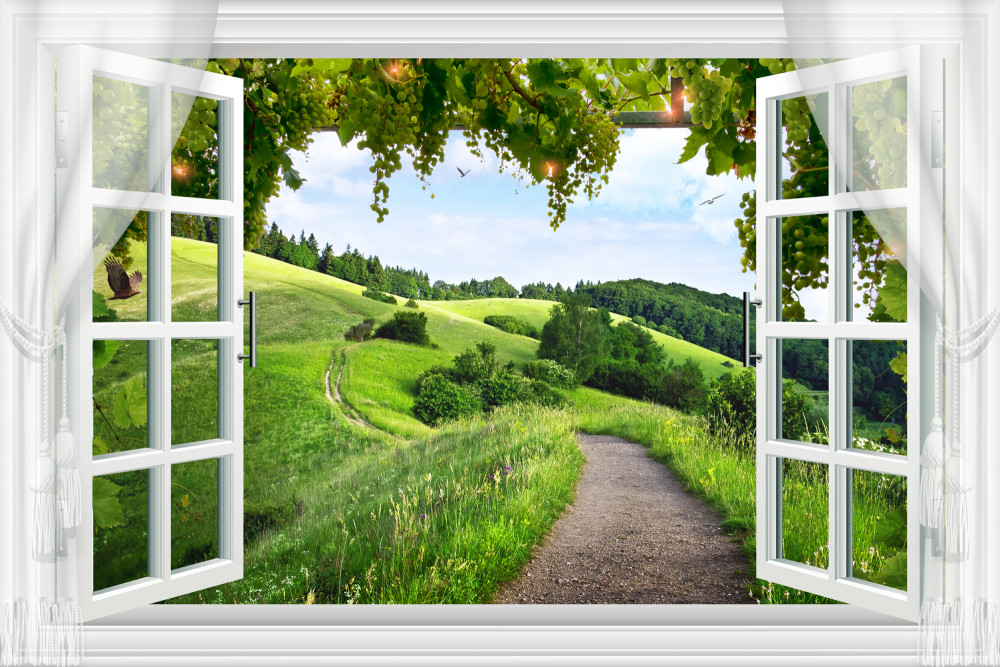 Fototapeta Natura, własność i Zielony