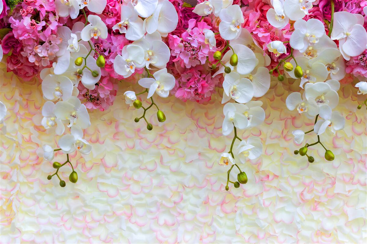 Fototapeta PIĘKNE ORCHIDEE