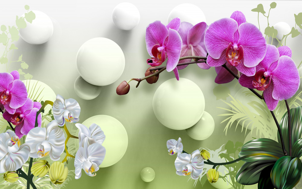 Fototapeta lilowa orchidea