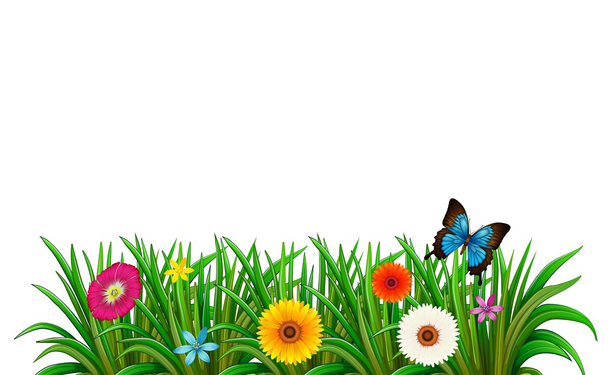 Fototapeta motyl na zielonej trawie z gerberą