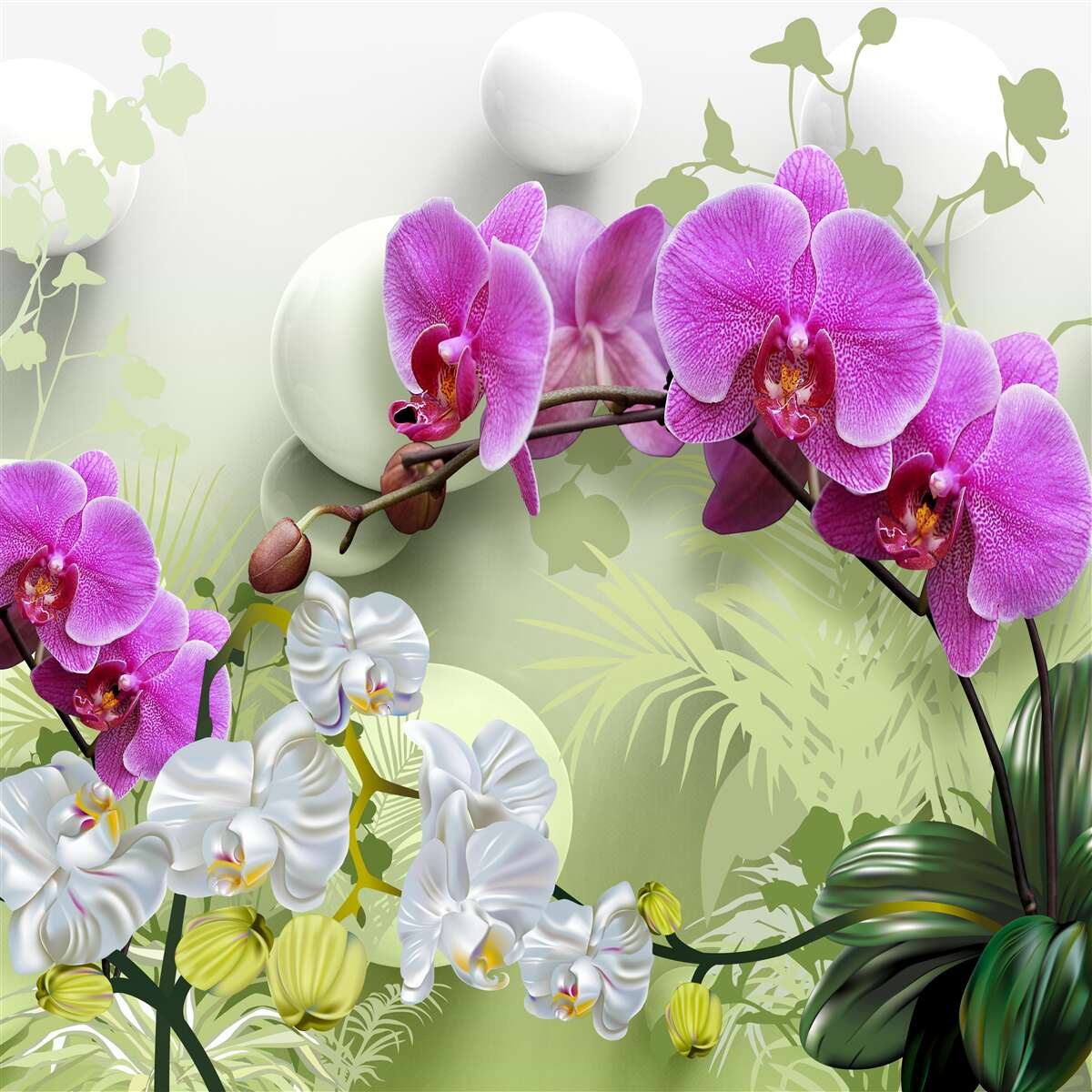 Fototapeta liliowe fioletowe orchidee na gałęziach